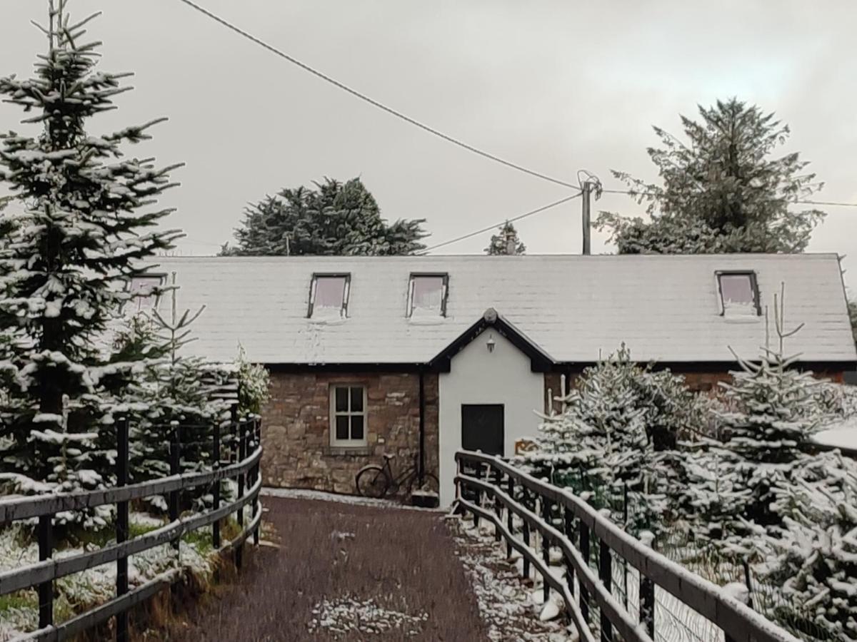 The Old House At Belfield Villa Tralee Luaran gambar